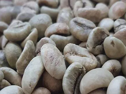 Sản phẩm robusta 2068 — Công Ty TNHH Xuất Nhập Khẩu Hoa Trang — MST 5900943158
