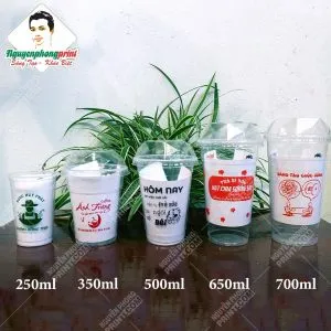 Sản phẩm in ly nhua gia re gia lai nguyen phong print 300x300 — Nguyễn Phong Print - Công ty TNHH Nguyễn Phong Print — MST 5901029733
