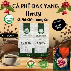 Sản phẩm cf dak yang 300x300 — Hợp Tác Xã Nông Nghiệp Và Dịch Vụ Nam Yang — MST 5901067697