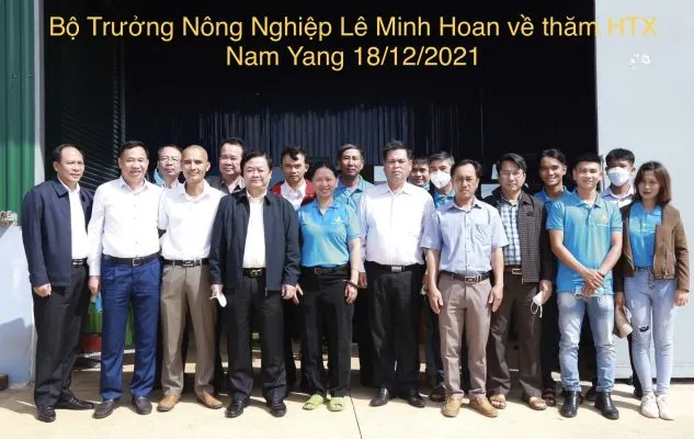 Sản phẩm le minh hoan 633x400 — Hợp Tác Xã Nông Nghiệp Và Dịch Vụ Nam Yang — MST 5901067697