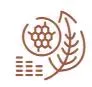 Sản phẩm c8 — Công Ty Cổ Phần Cà Phê Thành Gia Lai — MST 5901075867