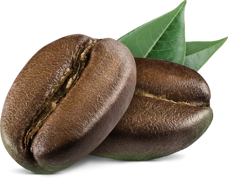 Sản phẩm coffee bean 768x604 — Công Ty Cổ Phần Cà Phê Thành Gia Lai — MST 5901075867