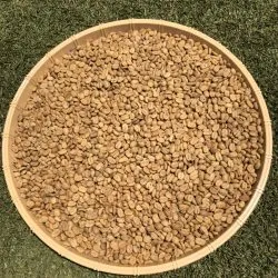 Sản phẩm z3266648731502_de2a5ed7e29ce4b4c7354807f4507637 250x250 — Công Ty Cổ Phần Cà Phê Thành Gia Lai — MST 5901075867