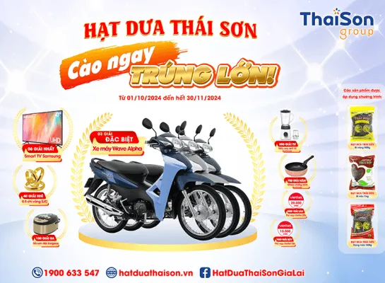 Sản phẩm AVTW e1727713053973 545x400 — Công Ty TNHH TM DV XNK Thái Sơn Global — MST 5901168215