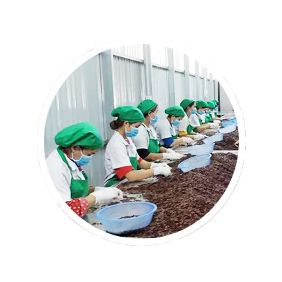 Sản phẩm quytrinhsanxuat — Công Ty TNHH TM DV XNK Thái Sơn Global — MST 5901168215