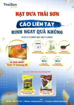 Sản phẩm t11 2023 283x400 — Công Ty TNHH TM DV XNK Thái Sơn Global — MST 5901168215