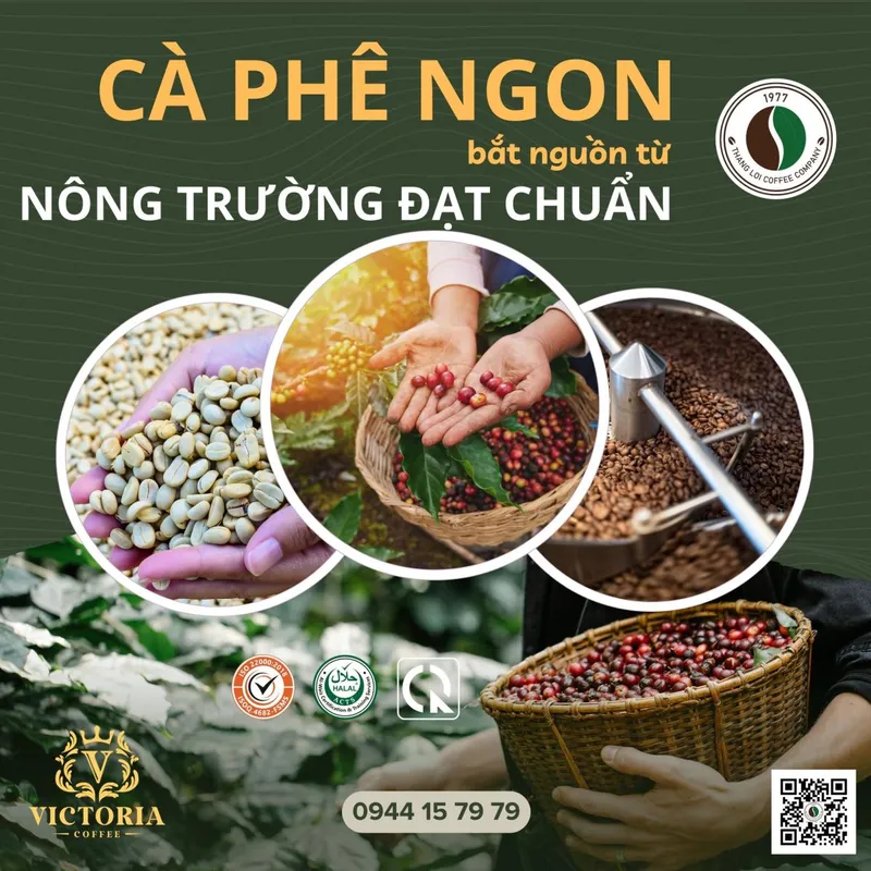 Sản phẩm 451437775_122206881518026010_2170361142553834379_n — Công Ty Cổ Phần Cà Phê Thắng Lợi — MST 6000182456