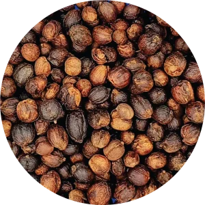 Sản phẩm robusta natural 1 300x300 — Công Ty TNHH Một Thành Viên Xuất Nhập Khẩu 2-9 Đắk Lắk — MST 6000234538