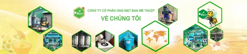 Sản phẩm Banner ve chung toi banmethuothoney — Mật Ong Ban Mê Thuột - Công Ty Cổ Phần Ong Mật Ban Mê Thuột — MST 6000513725