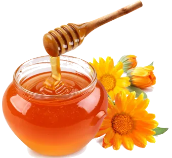 Sản phẩm intro img — Mật Ong Ban Mê Thuột - Công Ty Cổ Phần Ong Mật Ban Mê Thuột — MST 6000513725
