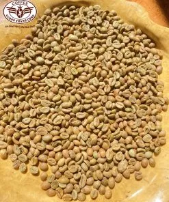 Sản phẩm z6014584335868_08695728dabd17ab8ba2e199fd5a604a 247x296 — Cà Phê Vương Thành Công - Công Ty TNHH Sản Xuất Và Thương Mại Vương Thành Công — MST 6001499752