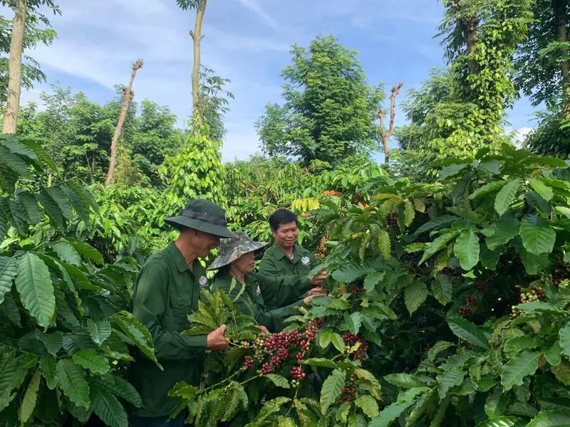 Sản phẩm z7307245890515_b773647cde20a75b039e01e5c8fc97d2 scaled — Cà Phê Vương Thành Công - Công Ty TNHH Sản Xuất Và Thương Mại Vương Thành Công — MST 6001499752