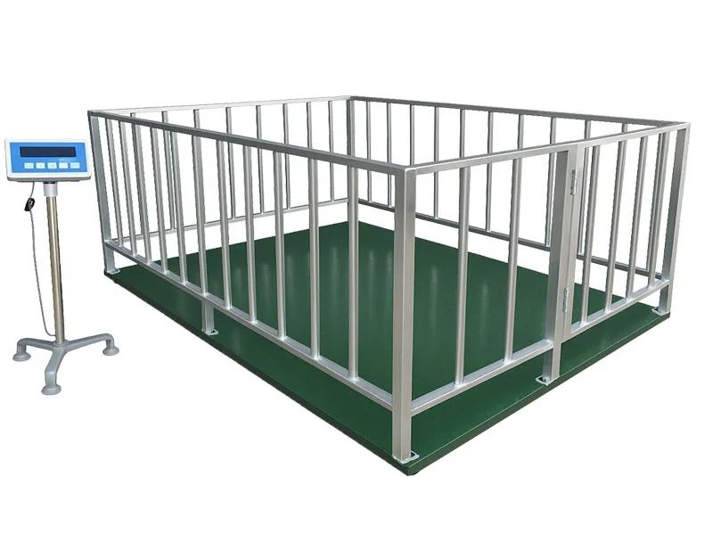 Sản phẩm can heo — Cân Điện Tử Quốc Hưng - Công Ty TNHH Sản Xuất Dịch Vụ Kỹ Thuật Quốc Hưng — MST 6001541813