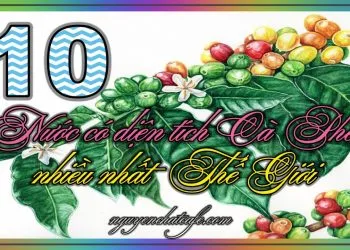 Sản phẩm 10 nuoc co dien tich cafe nhieu nhat the gioi 350x250 — Win Coffee - Công Ty TNHH Cà Phê Nguyễn Dũng — MST 6001568029