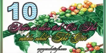 Sản phẩm 10 nuoc co dien tich cafe nhieu nhat the gioi 360x180 — Win Coffee - Công Ty TNHH Cà Phê Nguyễn Dũng — MST 6001568029