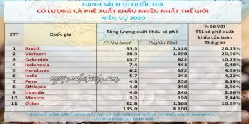 Sản phẩm 10 nuoc xuat khau ca phe nhieu nhat the gioi 360x180 — Win Coffee - Công Ty TNHH Cà Phê Nguyễn Dũng — MST 6001568029