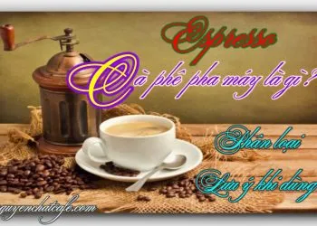 Sản phẩm ca phe pha may espresso la gi phan loai luu y 350x250 — Win Coffee - Công Ty TNHH Cà Phê Nguyễn Dũng — MST 6001568029