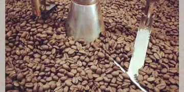 Sản phẩm nhan rang gia cong ca phe nguyen chat BMT 5 360x180 — Win Coffee - Công Ty TNHH Cà Phê Nguyễn Dũng — MST 6001568029