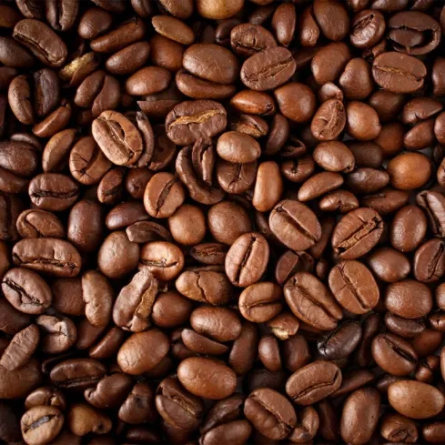 Sản phẩm 489x489 1655709938 single_product1 warmrobusta — Cà Phê BMT - Công Ty TNHH Cà Phê BMT Việt Nam — MST 6001609606