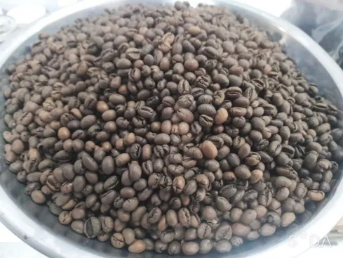 Sản phẩm 489x489 1729048304 single_product1 nhanculirang — Cà Phê BMT - Công Ty TNHH Cà Phê BMT Việt Nam — MST 6001609606