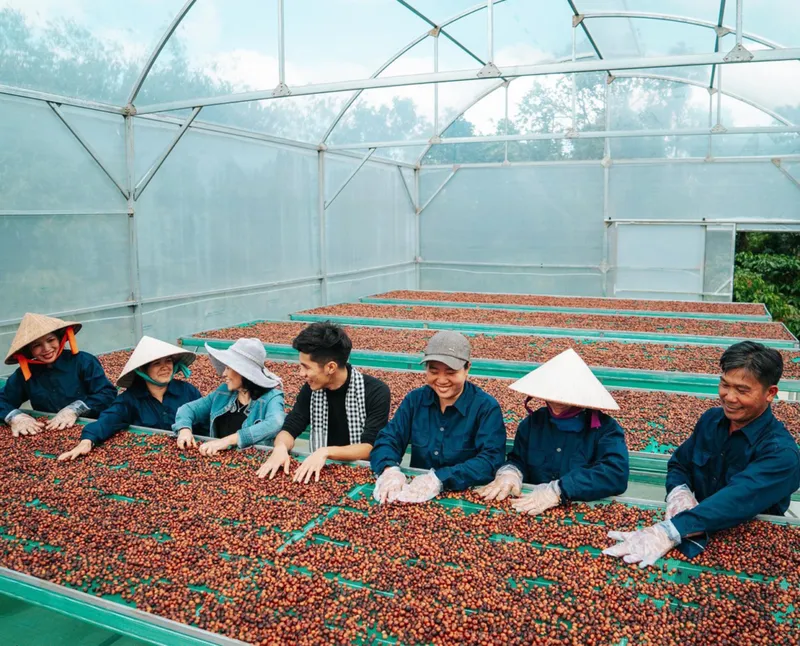 Sản phẩm 02 990x800 — Công Ty TNHH PM Coffee — MST 6001616522