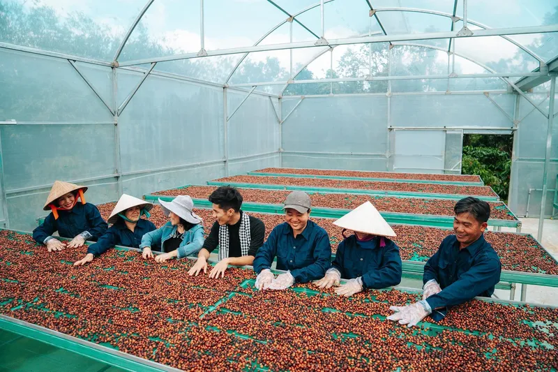 Sản phẩm 2d07092e09d1f98fa0c018 — Công Ty TNHH PM Coffee — MST 6001616522