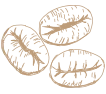 Sản phẩm h2 custom icon 6 — Công Ty TNHH PM Coffee — MST 6001616522