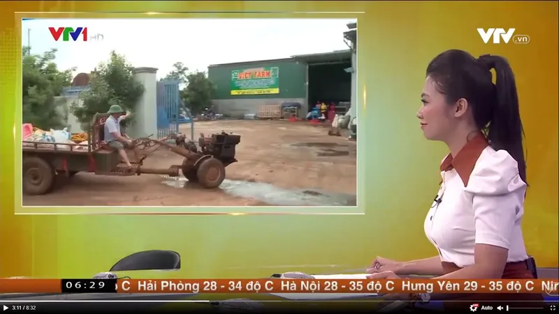 Sản phẩm 2f9313a3cdca0f9456db 100x0 — Hợp Tác Xã Nông Nghiệp Việt Farm — MST 6001632531