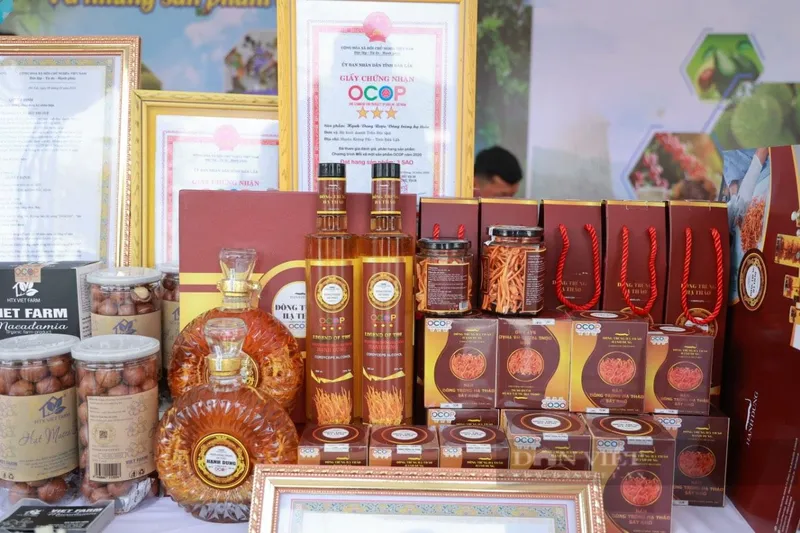 Sản phẩm 3449683445194470d4dbf807a84a7538e73fa474374e7 16537420464121238657275 16537425347992039636383 16537428619581599492203 16537429283111035182060 16537430184571759267566 100x0 — Hợp Tác Xã Nông Nghiệp Việt Farm — MST 6001632531