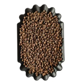 Sản phẩm hat rang robusta s14 honey 269x269 — Công Ty TNHH Cà Phê ROBANME — MST 6001649077