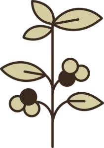 Sản phẩm 1 211x300.png — Công Ty TNHH XNK Cà Phê Minh Anh — MST 6001753039