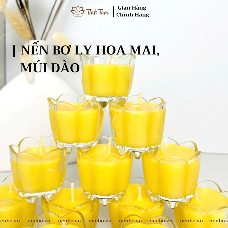 Sản phẩm nen bo ly hoa mai cung phat anh dai dien — Công Ty TNHH Vi Buzen — MST 6001776822