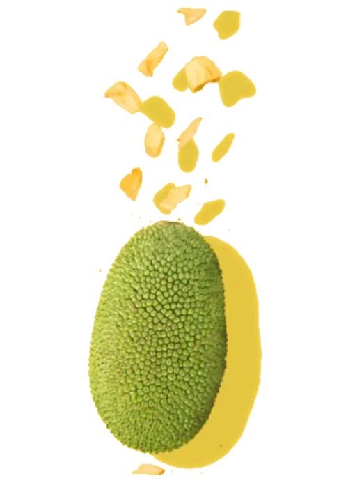 Sản phẩm jackfruit image new — Công Ty TNHH Sản Xuất Thương Mại Xuất Nhập Khẩu Tropito — MST 6001790898