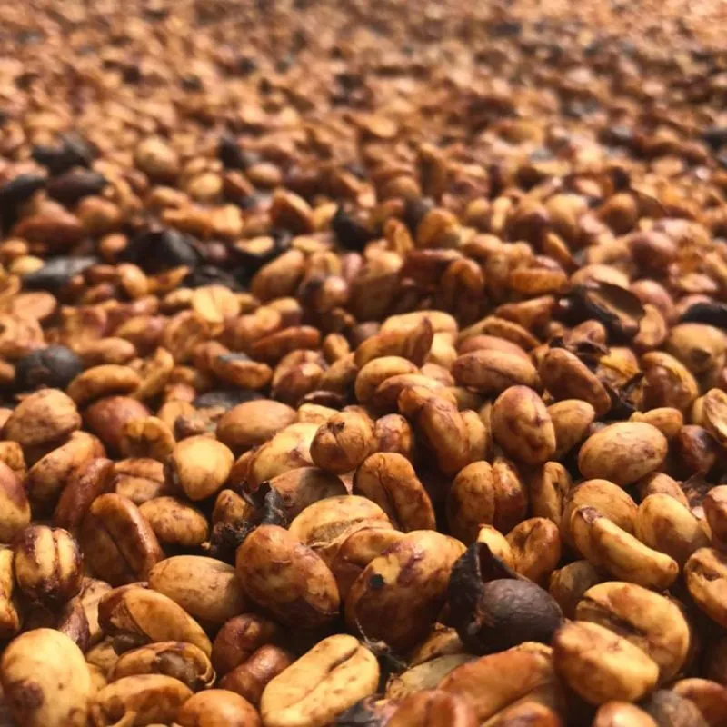 Sản phẩm arabica red honey  800x800 — Công Ty Cổ Phần Sâm Ngọc Linh Việt Nam — MST 6100994980