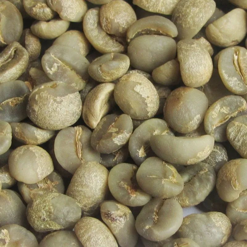 Sản phẩm arabica wash 800x800 — Công Ty Cổ Phần Sâm Ngọc Linh Việt Nam — MST 6100994980