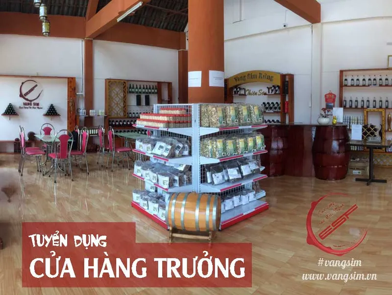 Văn phòng Công Ty TNHH MTV Sim Thiên Sơn #072022 — MST 6101166161