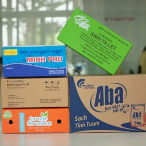 Sản phẩm carton_in_flexo1 300x300 — Công Ty Trách Nhiệm Hữu Hạn King Group — MST 6300072013