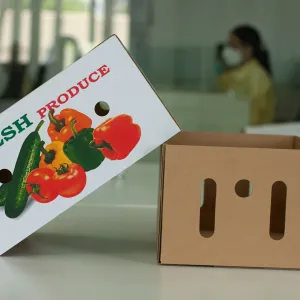 Sản phẩm hop_am_duong_carton1 300x300 — Công Ty Trách Nhiệm Hữu Hạn King Group — MST 6300072013