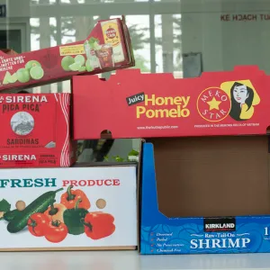 Sản phẩm Khay_carton_in_flexo1 300x300 — Công Ty Trách Nhiệm Hữu Hạn King Group — MST 6300072013