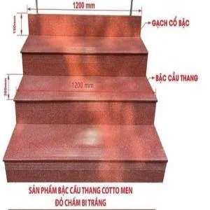 Sản phẩm bac cau thang cotto men do cham bi trang 20661774318865 — Công Ty TNHH MTV Việt Âu — MST 6300143507