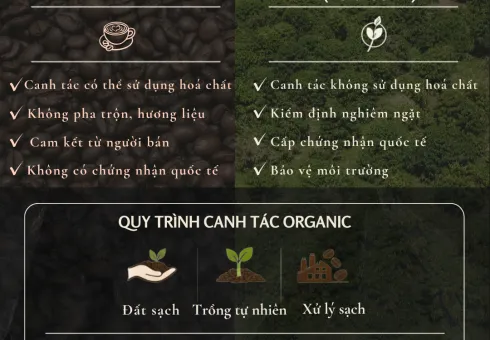 Sản phẩm post ca phe sach va ca phe organic khac nhau o dau 1777950559 — Công Ty Cổ Phần GODERE — MST 6400364193