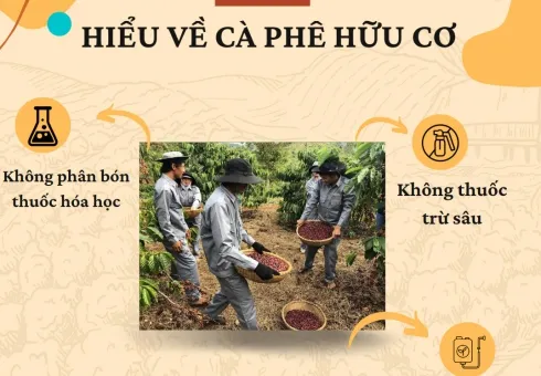 Sản phẩm post hieu ve ca phe huu co 1712801111 — Công Ty Cổ Phần GODERE — MST 6400364193