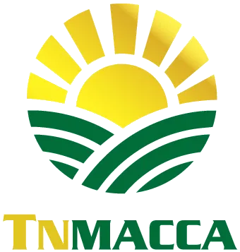 Logo Hạt Mắc Ca Tây Nguyên - Công Ty Cổ Phần Thu Mua Và Chế Biến Nông Sản Tây Nguyên