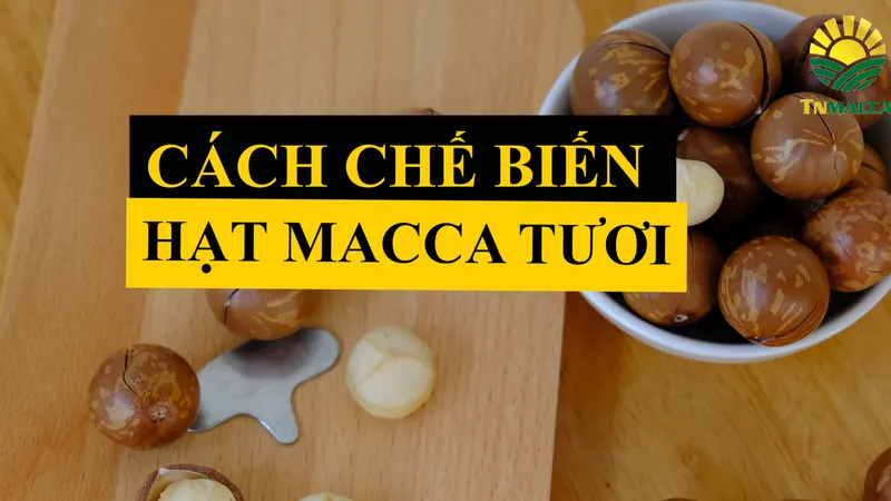 Sản phẩm anh dai dien macca tuoi — Hạt Mắc Ca Tây Nguyên - Công Ty Cổ Phần Thu Mua Và Chế Biến Nông Sản Tây Nguyên — MST 6400388606