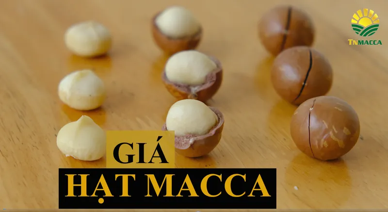 Sản phẩm anh dai dien — Hạt Mắc Ca Tây Nguyên - Công Ty Cổ Phần Thu Mua Và Chế Biến Nông Sản Tây Nguyên — MST 6400388606