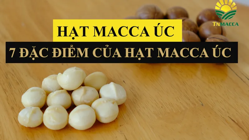 Sản phẩm anh nen — Hạt Mắc Ca Tây Nguyên - Công Ty Cổ Phần Thu Mua Và Chế Biến Nông Sản Tây Nguyên — MST 6400388606