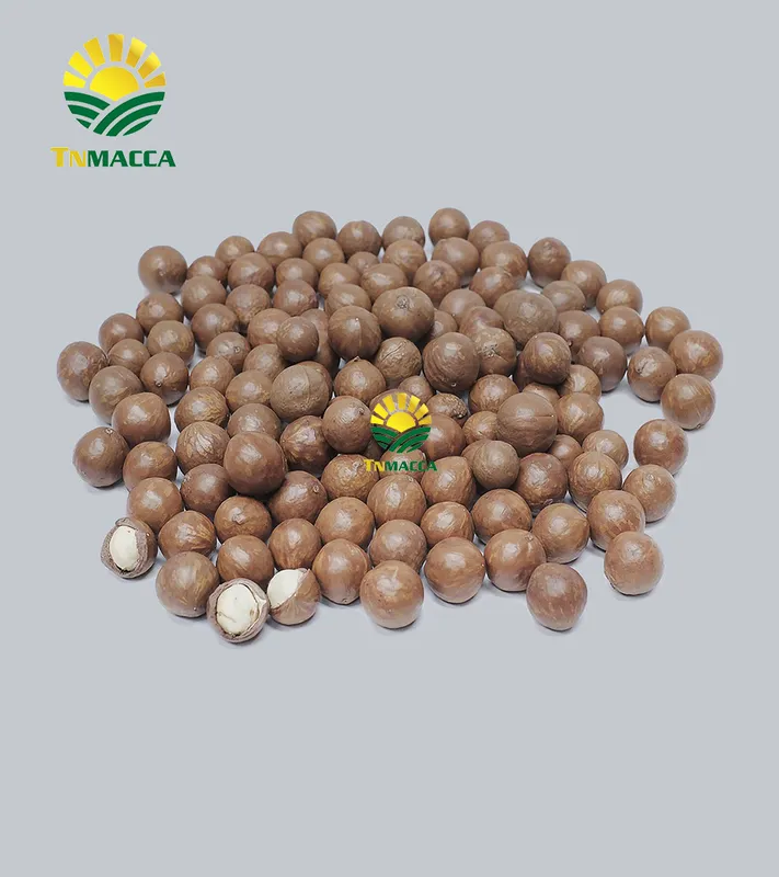 Sản phẩm hat macca nhien lieu 2 — Hạt Mắc Ca Tây Nguyên - Công Ty Cổ Phần Thu Mua Và Chế Biến Nông Sản Tây Nguyên — MST 6400388606