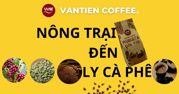Sản phẩm Cach tao ra ca phe vantiencoffee 764x400 — Công Ty TNHH Đầu Tư Sản Xuất Và Kinh Doanh Cà Phê Văn Tiền — MST 6400442500