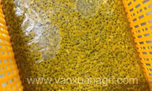 Sản phẩm dich chanh day co hat dong lanh qwjzrjjo9o2ujrq1h2sp2565evd5j9o0pe1rupvovs — Công Ty Cổ Phần Vạn Xuân Agri — MST 6400448090