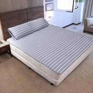 Sản phẩm dem mat cao cap hanvico cm1 300x300 — Nội Thất Đông Á - Nhà Phân Phối Chăn Ga Gối Đệm — MST 8003355277